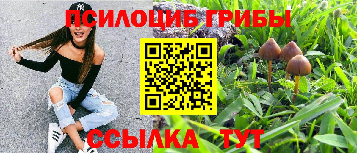 Галлюциногенные грибы ЛСД  Псилоцибиновые грибы Magic Shrooms  Фролово  Вход с VPN 